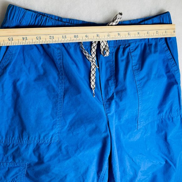 Aerie Womens Blue Drawstring Waist Flat Front Straight Leg Cargo Pants Size M - Picture 2 of 11